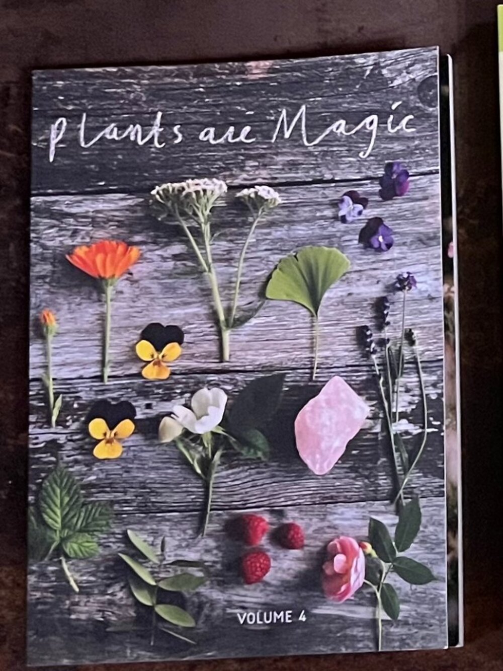 Ltd Ed Plants are Magic/Vol 4/For Makers, Dreamers & Plant Lovers/First Edition